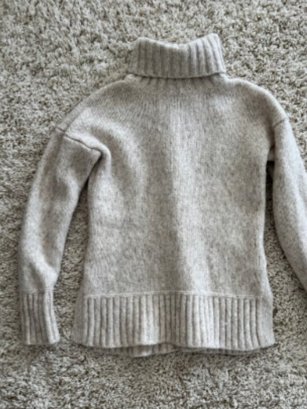 Everlane Sweater